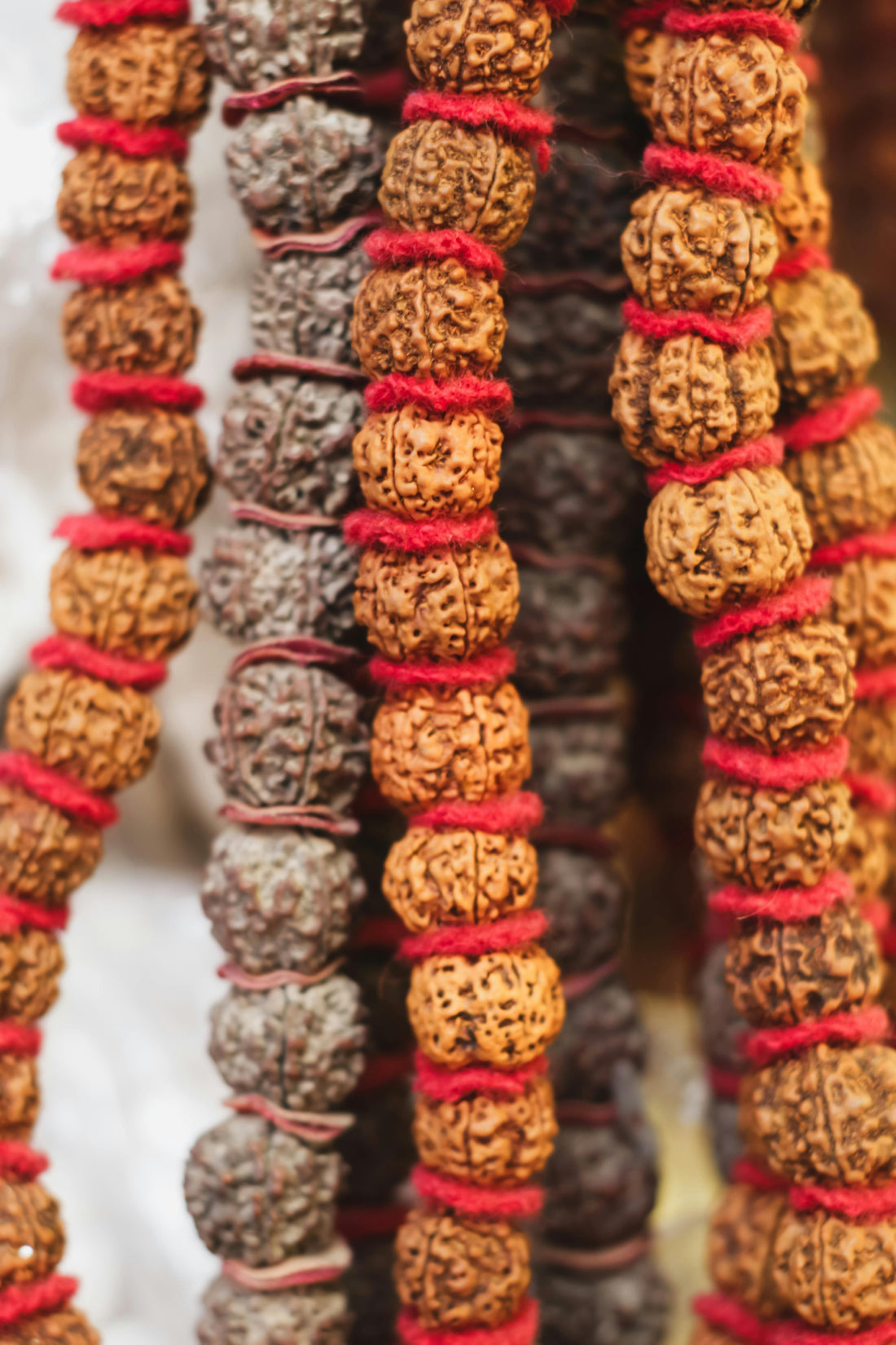 APRIL GROUP IMMERSION